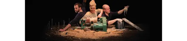 SIMFONIA RUMEGUȘULUI / SAWDUST SYMPHONY