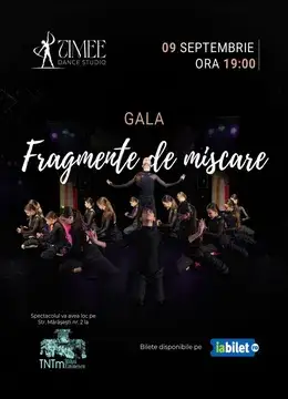 Timisoara: Fragmente de miscare