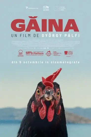 Hen - Caravana TIFF Unlimited la Odorheiu Secuiesc