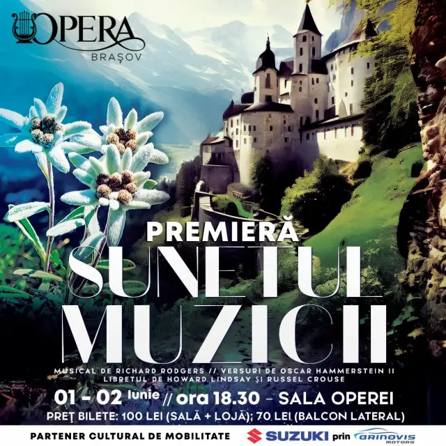 SUNETUL MUZICII